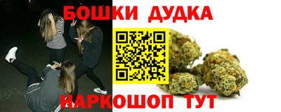 прущие грибы Шахты